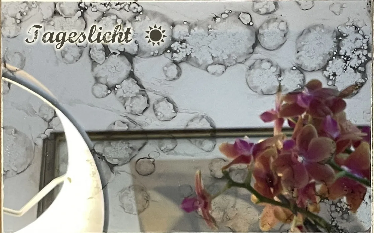 Leider keine Bildbeschreibung für grigio_argento-tageslicht1.jpg vorhanden.